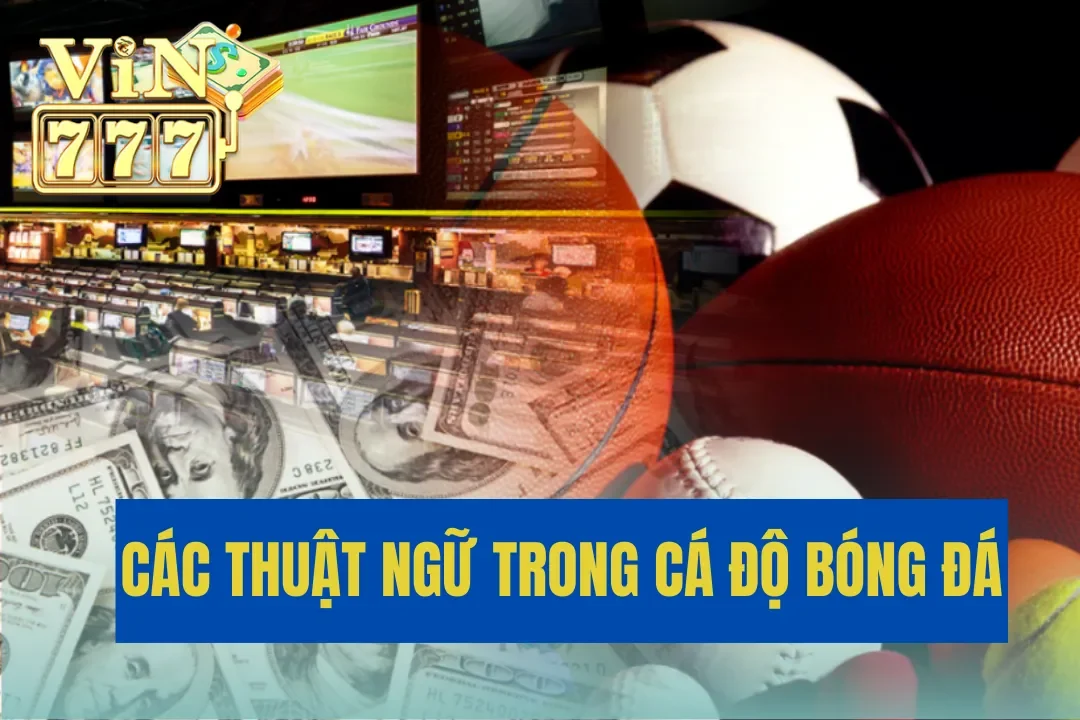 Các Thuật Ngữ Trong Cá Độ Bóng Đá Phổ Biến Năm 2024